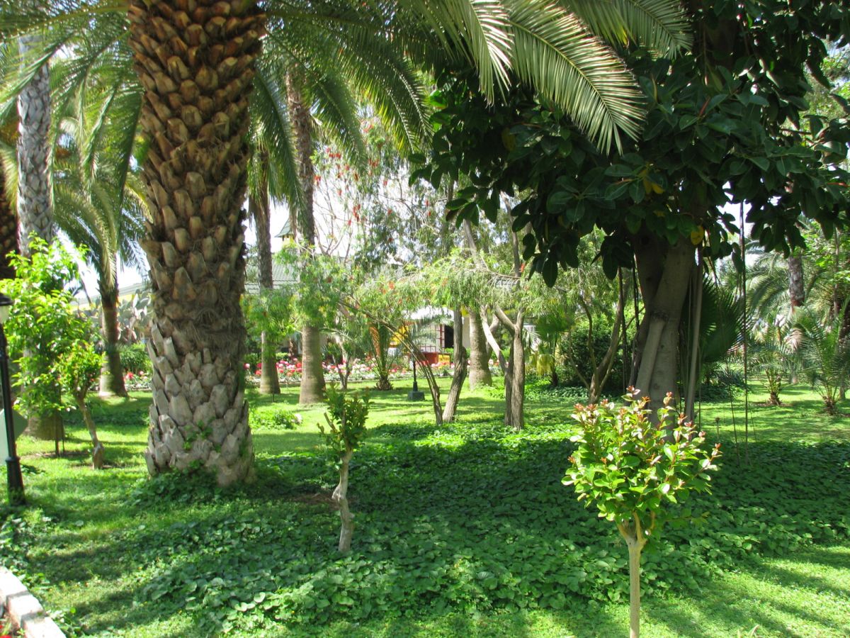 imagini hotel DELPHIN BOTANIK